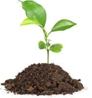 nature & Soil free transparent png image.