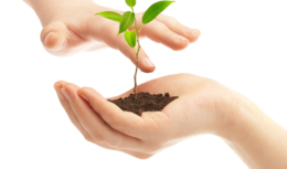 nature & Soil free transparent png image.