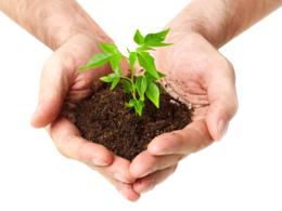 nature & Soil free transparent png image.