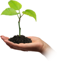 nature & Soil free transparent png image.