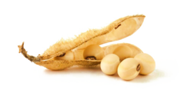 vegetables & Soybean free transparent png image.