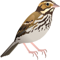 animals & Sparrow free transparent png image.