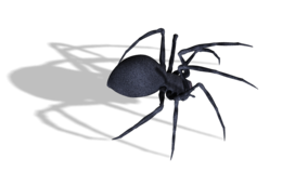 insects & spider free transparent png image.