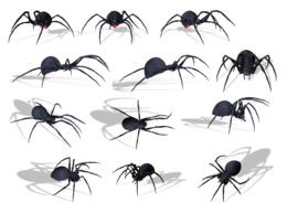 insects & spider free transparent png image.