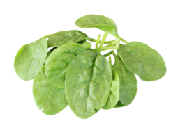 vegetables & Spinach free transparent png image.