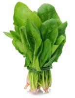 vegetables & Spinach free transparent png image.