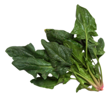 vegetables & Spinach free transparent png image.