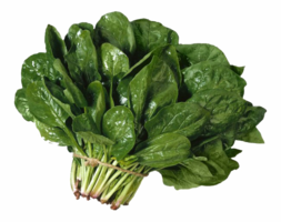 vegetables & Spinach free transparent png image.