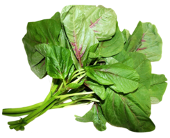 vegetables & Spinach free transparent png image.