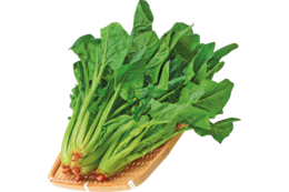 vegetables & spinach free transparent png image.