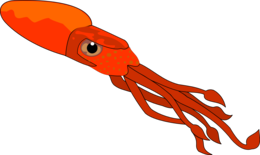 animals & Squid free transparent png image.