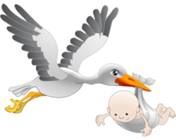 animals & Stork free transparent png image.