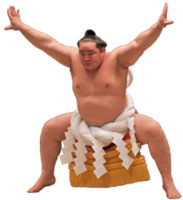 sport&Sumo png image.