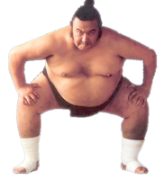 sport & Sumo free transparent png image.