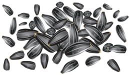 fruits & Sunflower seeds free transparent png image.