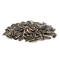 fruits & Sunflower seeds free transparent png image.