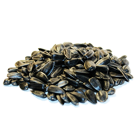 fruits & Sunflower seeds free transparent png image.