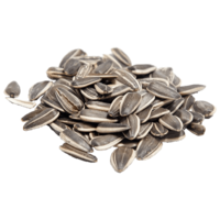 fruits & Sunflower seeds free transparent png image.