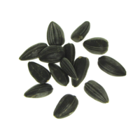 fruits & Sunflower seeds free transparent png image.