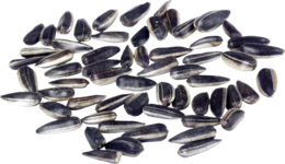 fruits & Sunflower seeds free transparent png image.