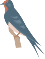 animals & Swallow free transparent png image.