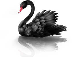 animals & swan free transparent png image.