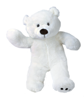 heroes & Teddy bear free transparent png image.