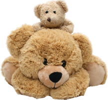 heroes & teddy bear free transparent png image.