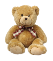 heroes & teddy bear free transparent png image.