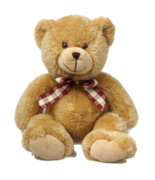 heroes & Teddy bear free transparent png image.