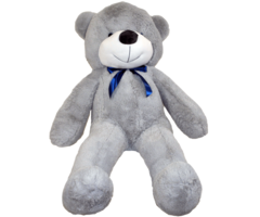 heroes & Teddy bear free transparent png image.