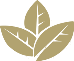 nature & Tobacco free transparent png image.