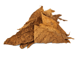 nature & Tobacco free transparent png image.