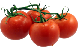 vegetables & tomato free transparent png image.