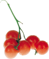 vegetables & tomato free transparent png image.