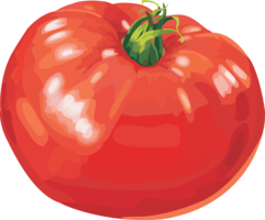 vegetables & Tomato free transparent png image.