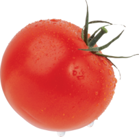 vegetables & tomato free transparent png image.