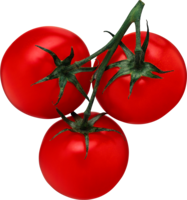 vegetables & tomato free transparent png image.