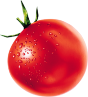 vegetables & tomato free transparent png image.