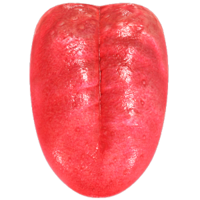 people & Tongue free transparent png image.