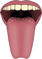 people & tongue free transparent png image.