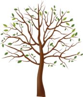 nature & tree free transparent png image.