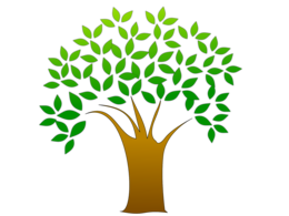 nature & tree free transparent png image.