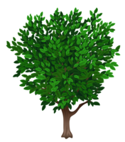 nature & Tree free transparent png image.