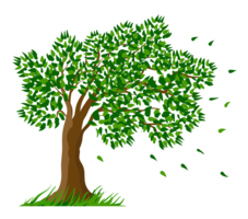 nature & Tree free transparent png image.