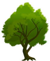 nature & tree free transparent png image.