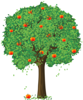 nature & Tree free transparent png image.