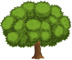 nature & Tree free transparent png image.