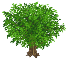 nature & Tree free transparent png image.