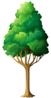 nature & Tree free transparent png image.